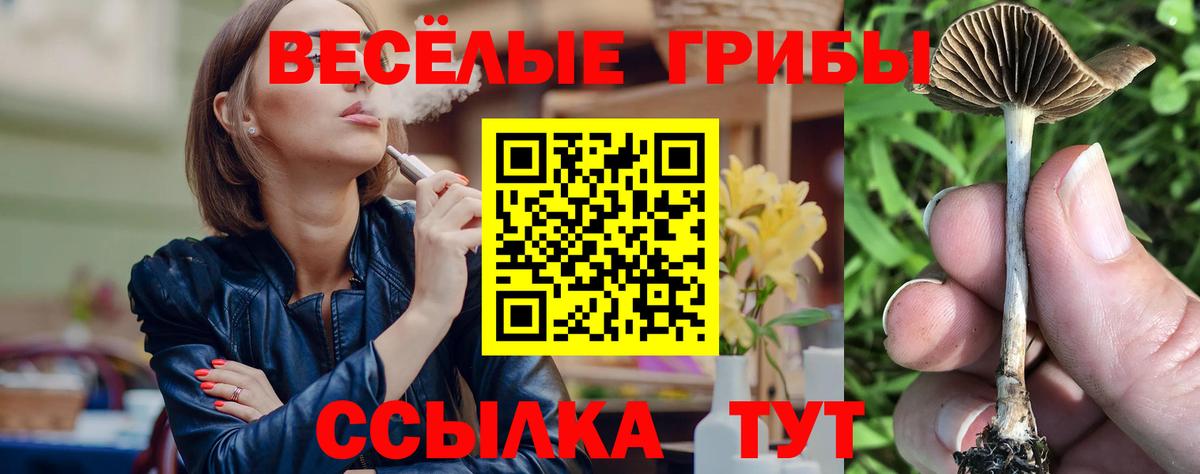 Галлюциногенные грибы мицелий  Вход с VPN  Магнитогорск  Галлюциногенные грибы Cubensis 